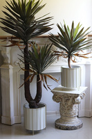 Jukka Miami, sztuczna roślina w donicy