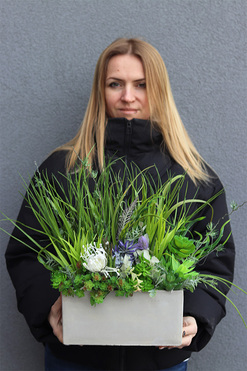 Jedona 2, kompozycja sukulenty w betonowej donicy, wys.28cm 