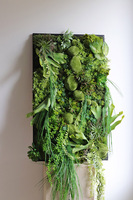 Green Hotels Eureka, czarna jednostronna rama sukulenty