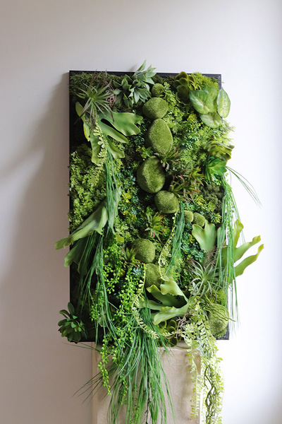 Green Hotels Eureka, czarna jednostronna rama sukulenty