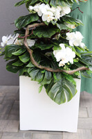 Monstera&Storczyk Fiberglass Sydney, roślinna dekoracja podłogowa