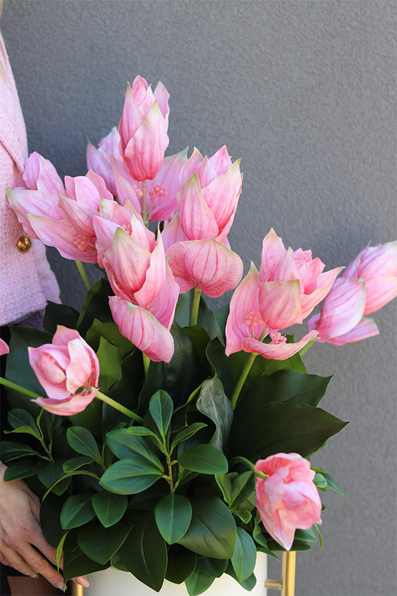 Medinilla Pinky Light, podłogowa dekoracja kwiatowa