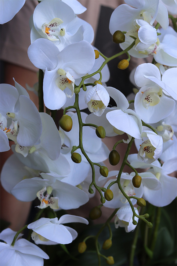 Snake Modern XXL, sztuczny storczyk w srebrnej donicy, wym.79x120cm