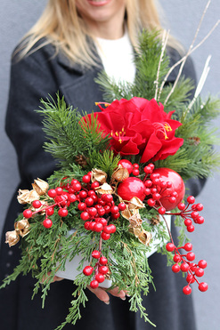 Amarylis Winter Gold A, świąteczna kompozycja z czerwonymi kwiatami, wys.39cm