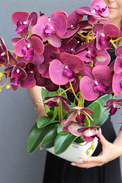 Glamour Felinato, fioletowy gumowy storczyk,wys.60cm 