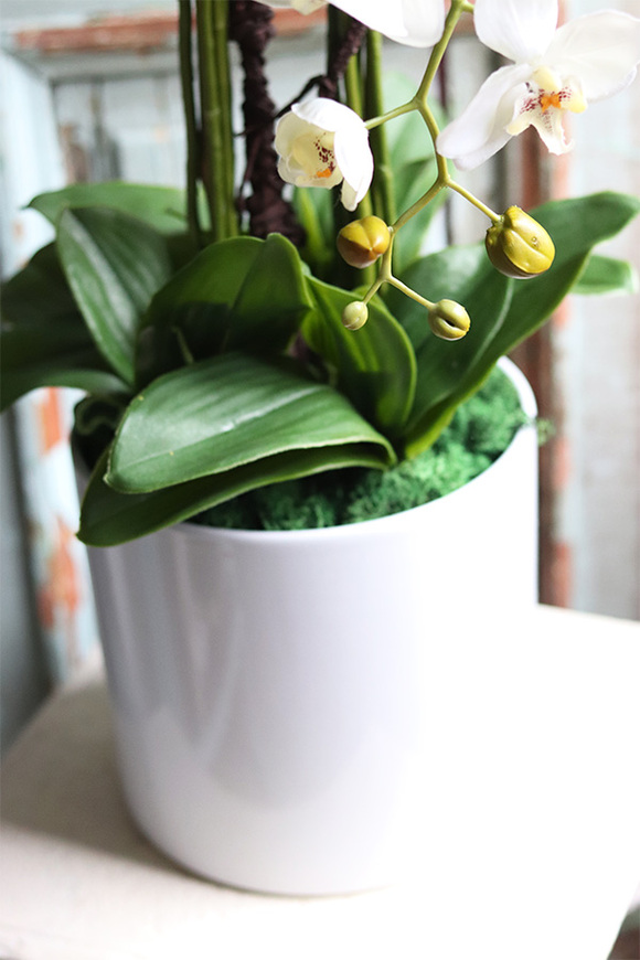 Biała Kromena, sztuczny storczyk w białej donicy, wys.94cm 