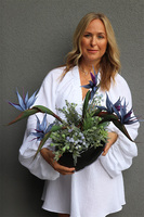 Strelicja Moonlight, egzotyczna kompozycja w donicy