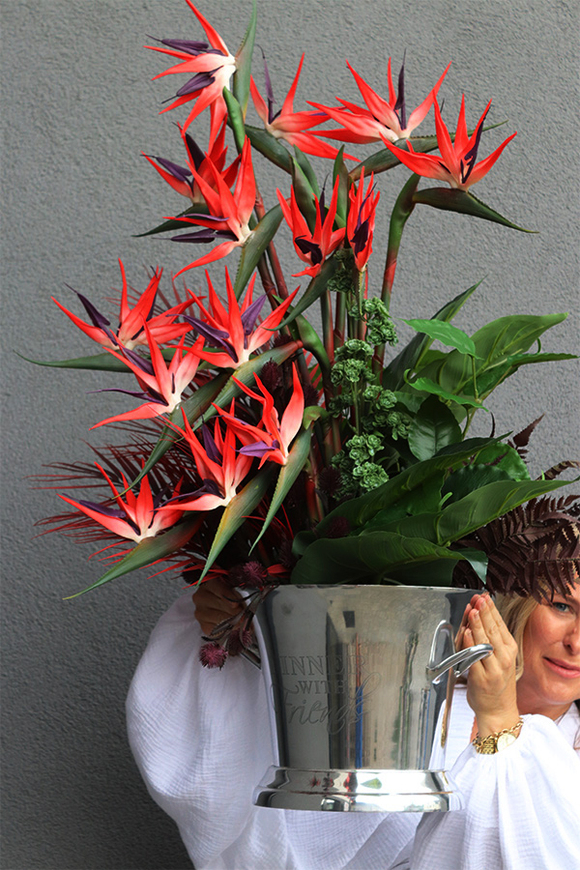 Cooler Strelicja&Friends, egzotyczna kompozycja w coolerze