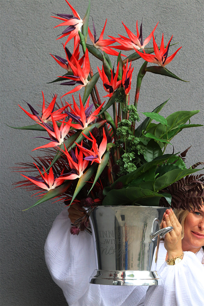 Cooler Strelicja&Friends, egzotyczna kompozycja w coolerze