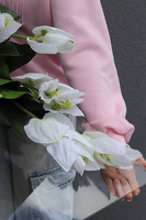 Clear Design Medinilla, dekoracja nagrobna na płycie