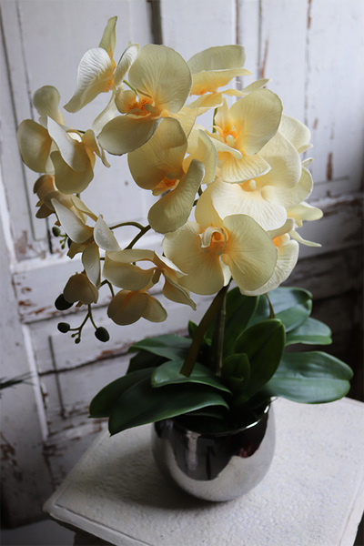 Fedrai, żółty sztuczny storczyk, wys.57cm 