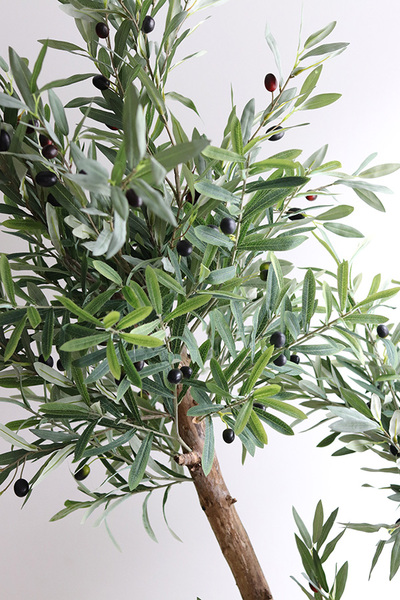 Oliwka Greece New, sztuczne drzewko w ceramicznej donicy, wys.160cm