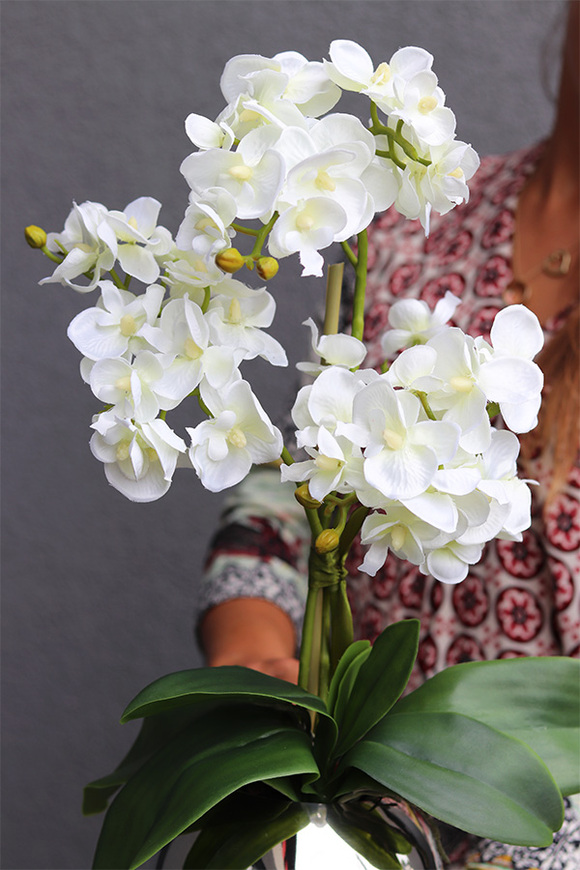 Silveia, sztuczny storczyk w lustrzanej donicy