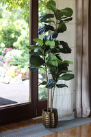 Fikus Dębolistny Bellis, sztuczna roślina w doniczce