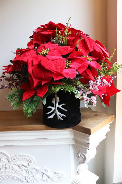 Velurro Gwiazda Betlejemska, flowerbox zimowy