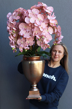 Veneziana 2 Exclusive Villa, storczyk w pucharze, wys.101cm