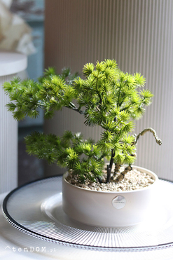 Bonsai Hikari 2, sztuczne drzewko w ceramicznej misie, wys.24cm