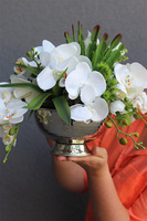 Dekoria Pucharia, kompozycja z orchideą w pucharze