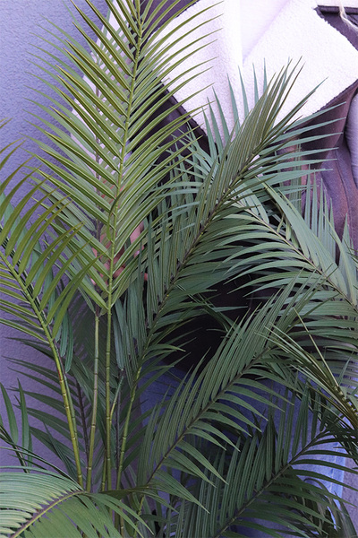 Palma Concrete Cube, sztuczna roślina w betonowej donicy