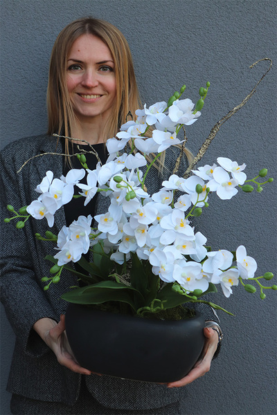 Blackita, storczyk w czarnej donicy