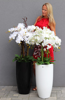 duży storczyk Black Fiberglass Grande 2 w czarnej donicy