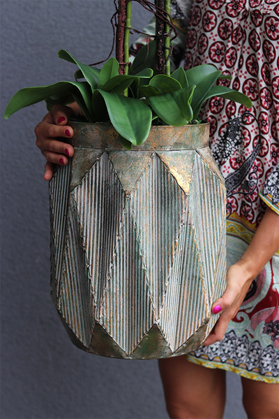 Mattea Gold Big, storczyk w metalowym naczyniu