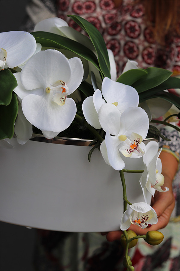 Dekoria Orchidelia, kompozycja z orchideą w podłużnym naczyniu