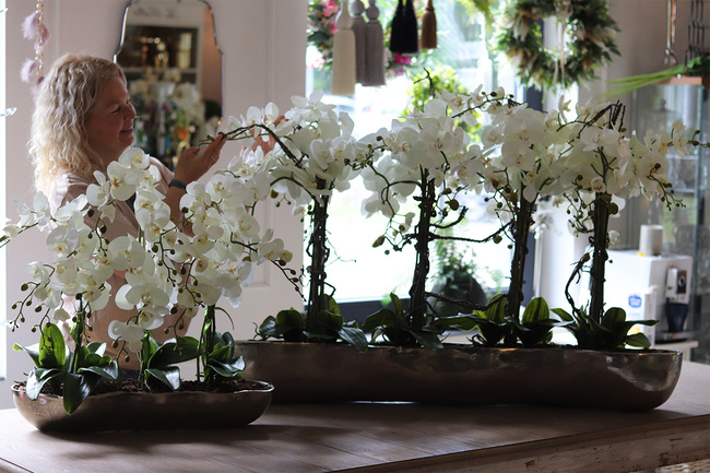 Snake Modern XXL, sztuczny storczyk w srebrnej donicy, wym.79x120cm