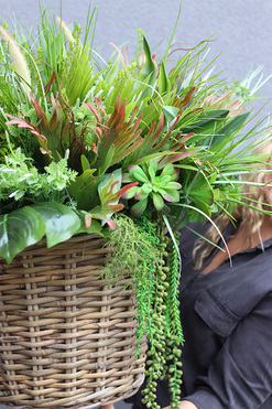 Retresta Basket, kompozycja z ziołami w koszu, wym.70x75cm