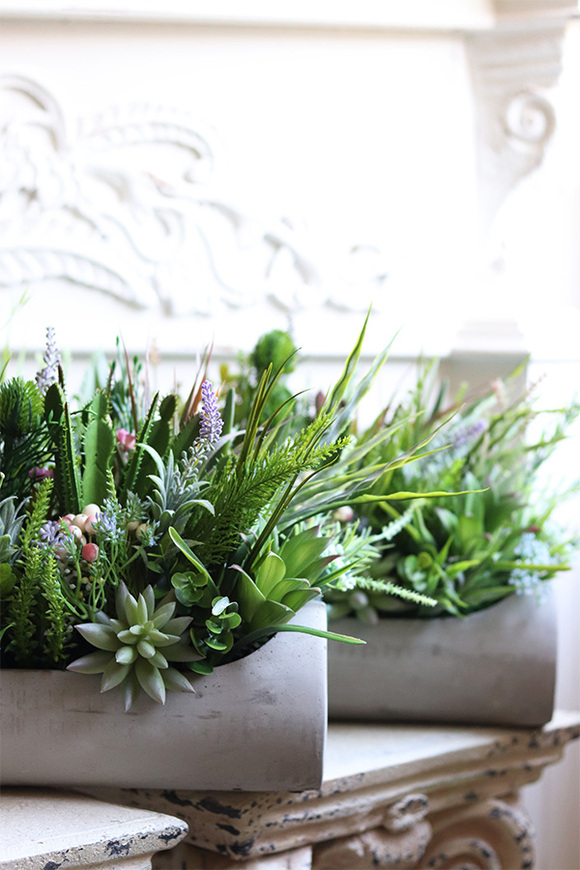 kompozycja sukulenty w długiej donicy, Hektor Modenato