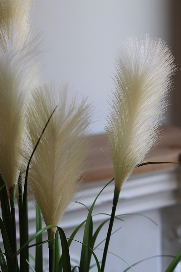 Kłossi Boho, trawy w koszu