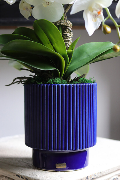 Blue Curena, sztuczny storczyk w niebieskiej doniczce