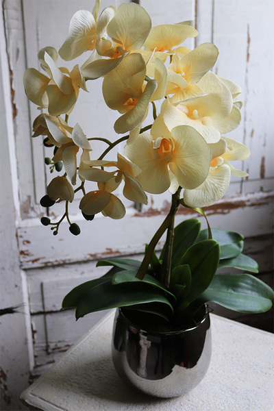 Fedrai, żółty sztuczny storczyk, wys.57cm 