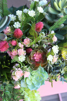 Pink Lady Modern, sukulenty w donicy na stojaku, wys.93x88x30cm