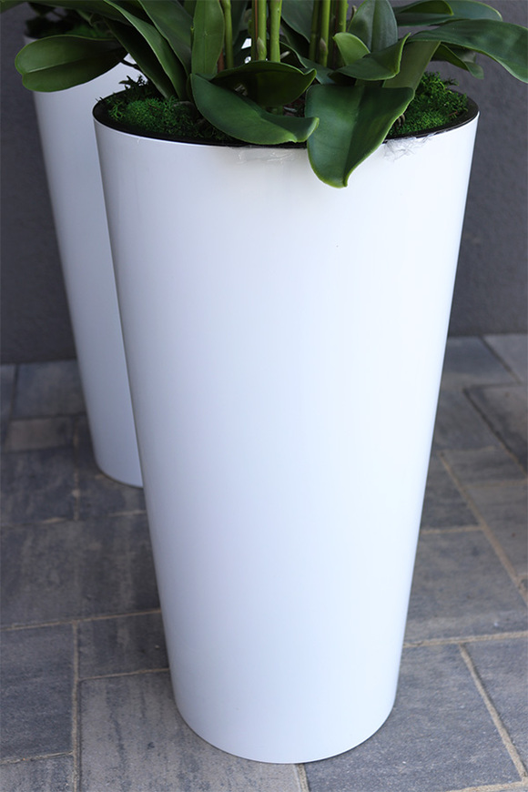 gumowy storczyk w białej donicy, Mediolan Celentano Granada, wys.118cm 