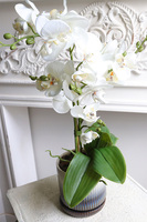 Naturena, wysokiej jakości sztuczny storczyk