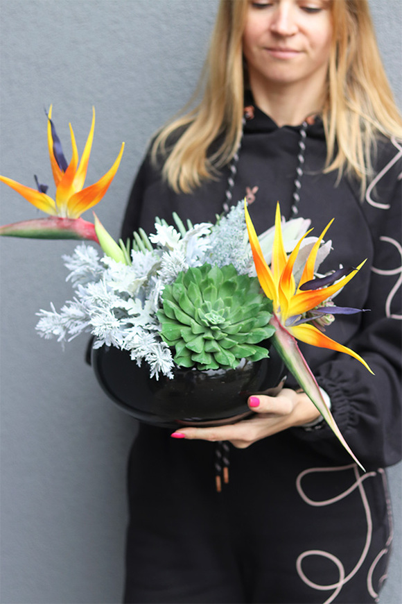  Strelicja Mortario Piano, nagrobna kompozycja w misie