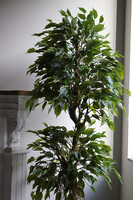 Fikus Benjamin Domingo, sztuczna roślina w złotej donicy