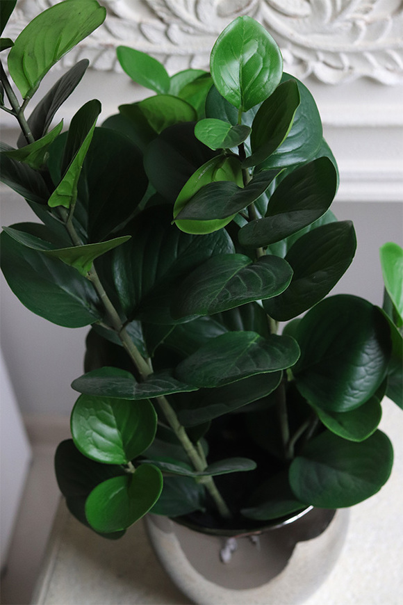 Zamiokulkas Moon, sztuczna roślina w doniczce