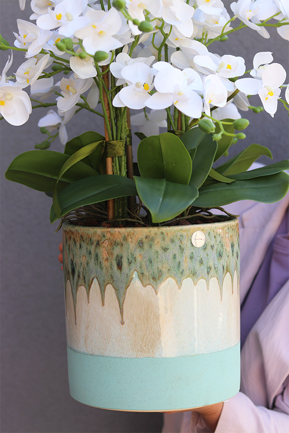 Helite Ocean, gumowy storczyk w turkusowej osłonce