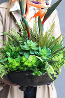 Strelicja Czerń, egzotyczna kompozycja w misie