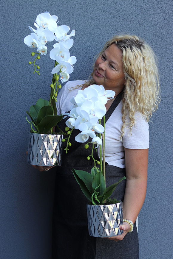 elegancki storczyk w srebrnej donicy Silvebia, 1 szt., wys.57cm