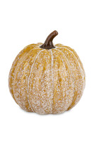 dekoracyjna dynia, Pumpkin Autumn, B, wym.16x14x14cm