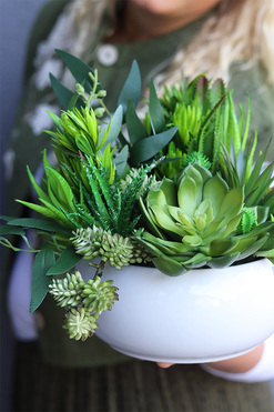 Green Betra Piano, kompozycja sukulenty w okrągłej donicy, wym.24x25cm 