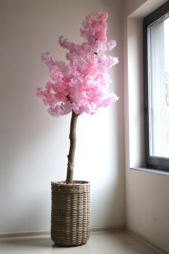 Jabłoń Sakura, sztuczne drzewko w koszu