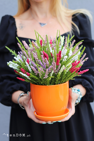 Wrzosy Pomerania, jesienna kompozycja z wrzosów