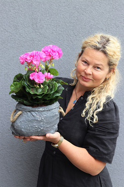 Pelargonia Volcan, pelargonie w naczyniu, wys.32cm