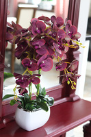 Glamour Felinato, fioletowy gumowy storczyk,wys.60cm