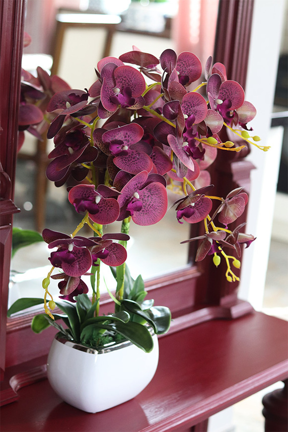 Glamour Felinato, fioletowy gumowy storczyk,wys.60cm