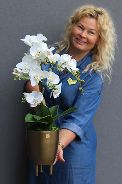 Złota Baśń 2, storczyk w złotej osłonce na nóżkach, wys.64cm